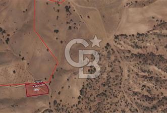 MUSELAND-KARAMAN BOZKANDAK DA 1717M2 SATILIK BAĞ - 1 - 331846