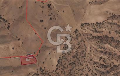 MUSELAND-KARAMAN BOZKANDAK DA 1717M2 SATILIK BAĞ