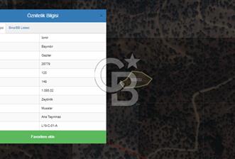 İZMİR BAYINDIR GAZİLERDE 1.085 m2 YOLA YAKIN SATILIK ZEYTİNLİK - 1 - 331628