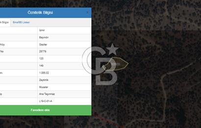 İZMİR BAYINDIR GAZİLERDE 1.085 m2 YOLA YAKIN SATILIK ZEYTİNLİK