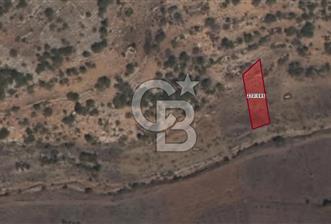 MUSELAND-KARAMAN BAŞKIŞLA DA SATILIK 580M2 BAĞ - 1 - 331785