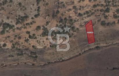 MUSELAND-KARAMAN BAŞKIŞLA DA SATILIK 580M2 BAĞ