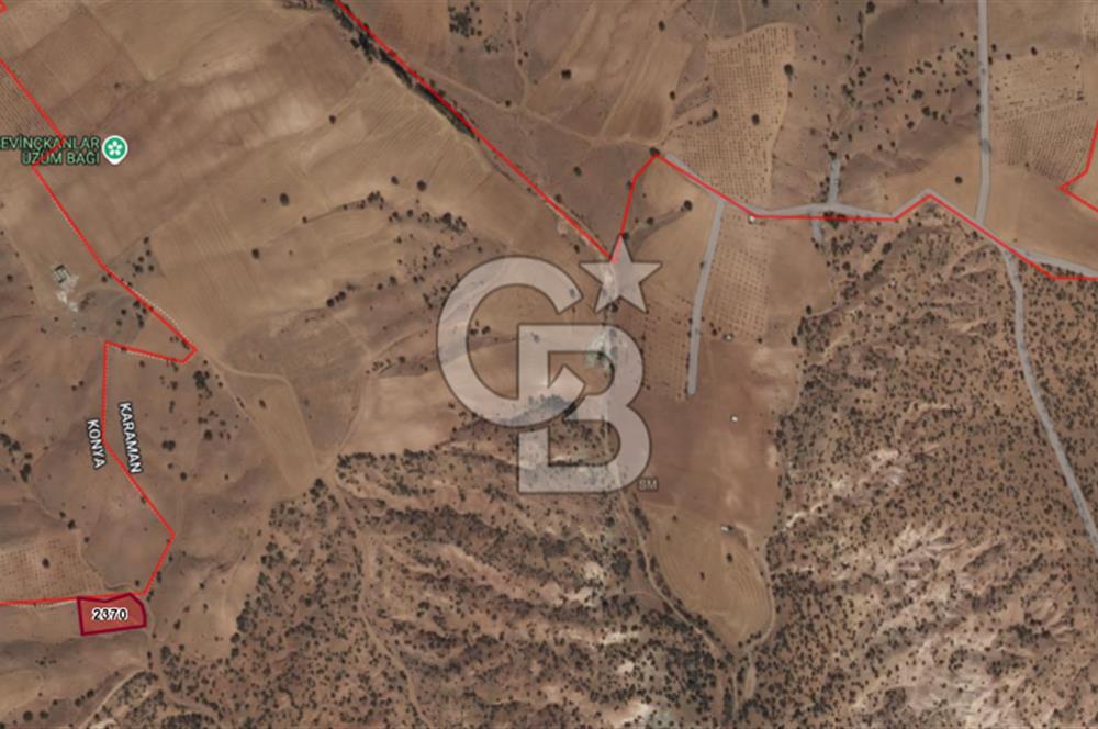 MUSELAND-KARAMAN BOZKANDAK DA 1717M2 SATILIK BAĞ