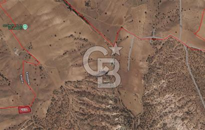 MUSELAND-KARAMAN BOZKANDAK DA 1717M2 SATILIK BAĞ