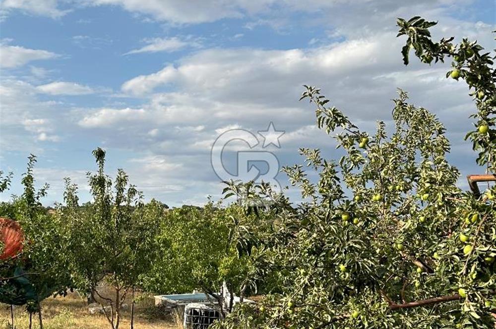 ELMADAĞ TATLICA 18 DÖNÜM BAHÇE