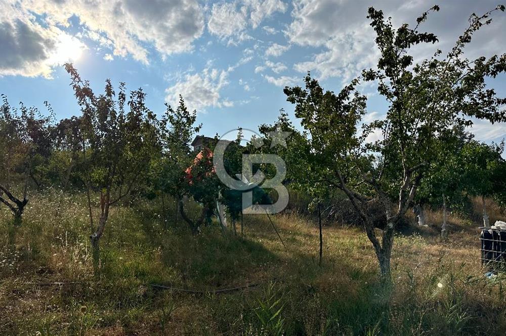 ELMADAĞ TATLICA 18 DÖNÜM BAHÇE