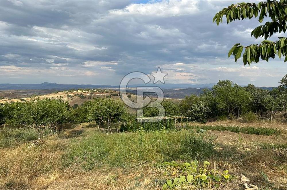 ELMADAĞ TATLICA 18 DÖNÜM BAHÇE