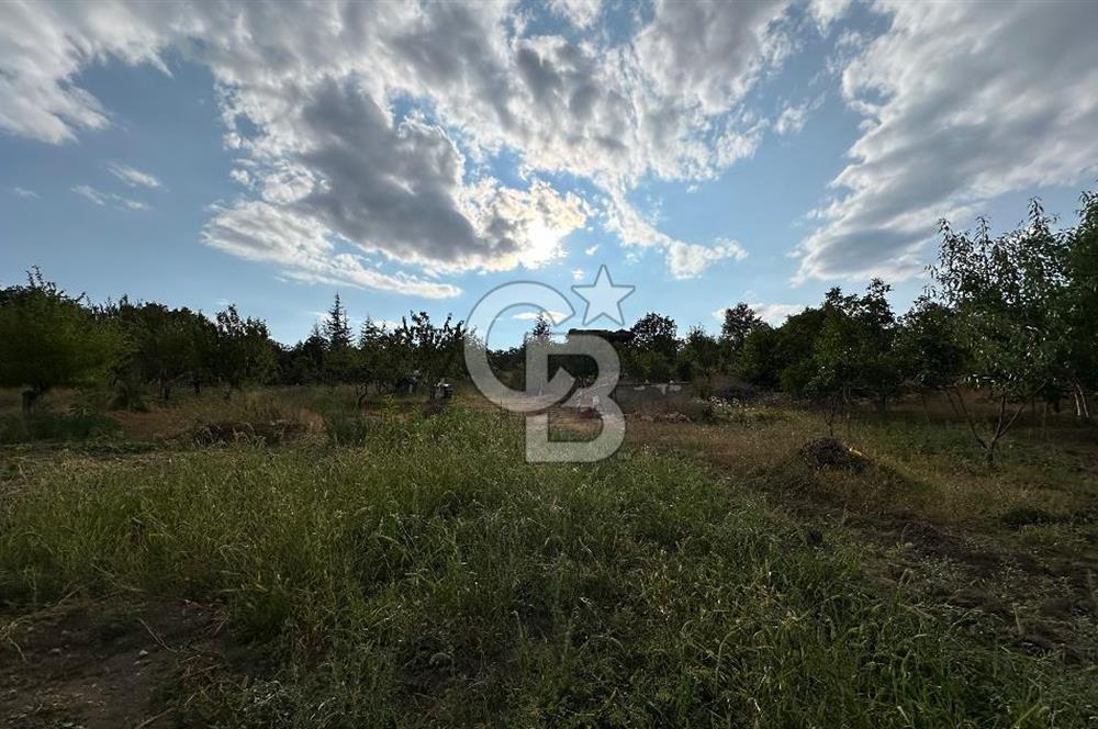 ELMADAĞ TATLICA 18 DÖNÜM BAHÇE