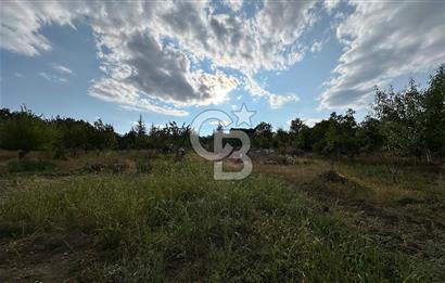 ELMADAĞ TATLICA 18 DÖNÜM BAHÇE