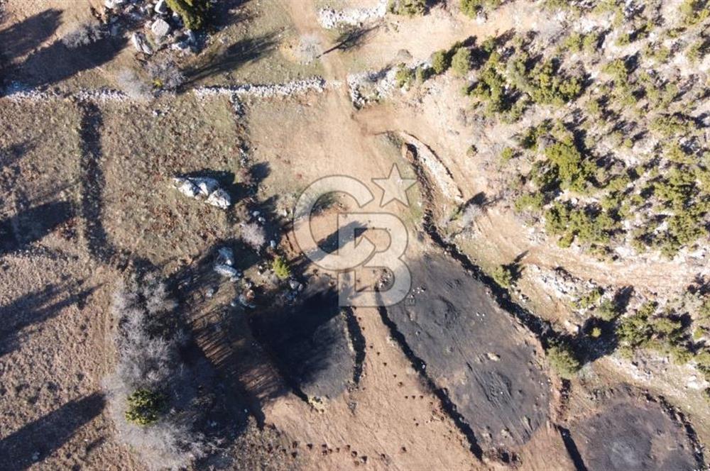 CB GİZDEN SEYDİKEMER ÇOBANİSA DA SATILIK FIRSAT PARSELLER