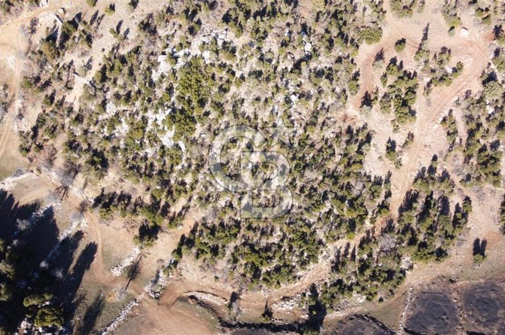 CB GİZDEN SEYDİKEMER ÇOBANİSA DA SATILIK FIRSAT PARSELLER