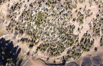 CB GİZDEN SEYDİKEMER ÇOBANİSA DA SATILIK FIRSAT PARSELLER