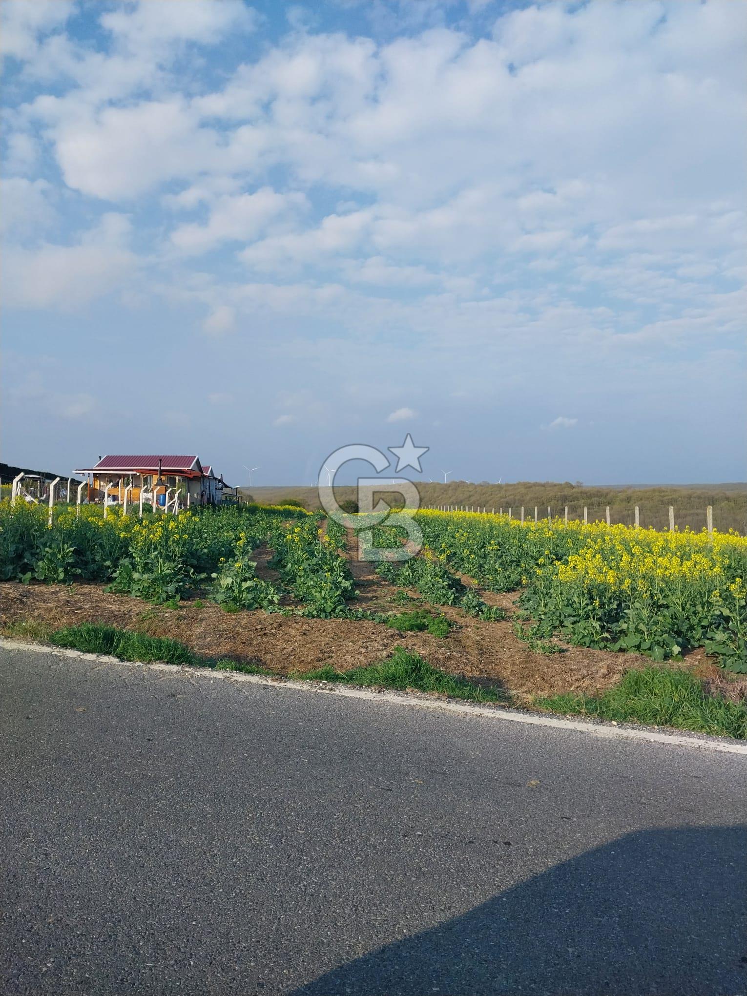 İSTANBUL SİLİVRİ'DE SATILIK TARLA