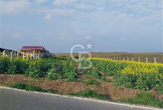 İSTANBUL SİLİVRİ'DE SATILIK TARLA - 5 - 331859