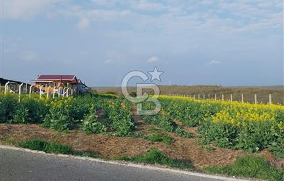 İSTANBUL SİLİVRİ'DE SATILIK TARLA