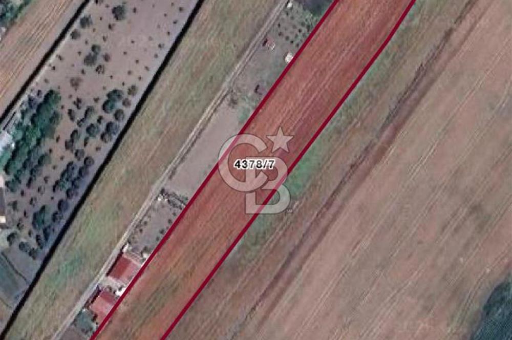 İSTANBUL SİLİVRİ'DE SATILIK TARLA