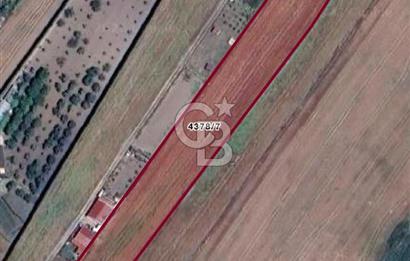 İSTANBUL SİLİVRİ'DE SATILIK TARLA