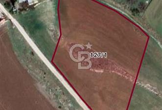 SİNCAN POLATLARDA SATILIK TARLA - 1 - 331857