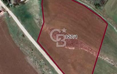 SİNCAN POLATLARDA SATILIK TARLA