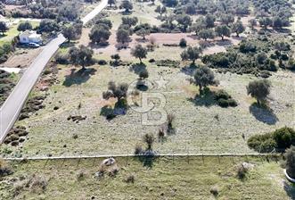 URLA ZEYTİNELİ YOL CEPHELİ KÖY İMARINA UYGUN SATILIK ARAZİ - 2 - 331899