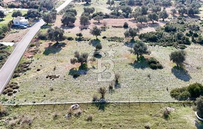 URLA ZEYTİNELİ YOL CEPHELİ KÖY İMARINA UYGUN SATILIK ARAZİ