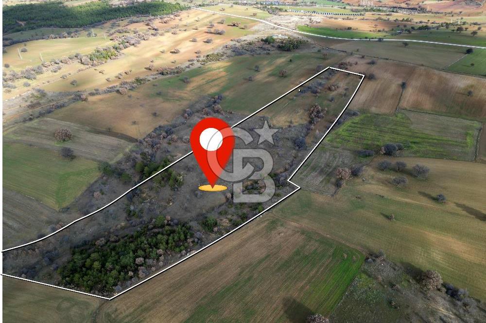 CB OPİA'DAN '' ORTAKÖY'DE GELECEK VADEDEN  31.046 m² TARLA '' 