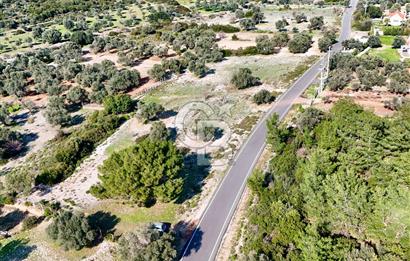 URLA ZEYTİNELİ KÖYÜ KADASTRAL YOLA CEPHELİ SATILIK ARAZİ