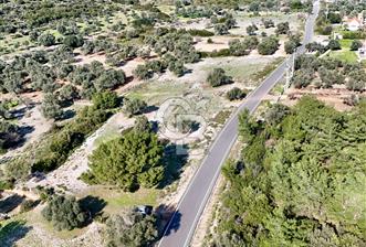 URLA ZEYTİNELİ KÖYÜ KADASTRAL YOLA CEPHELİ SATILIK ARAZİ - 3 - 331898