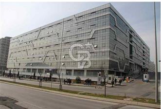 CB Onko'dan Trios 2023 te Kiralık Cadde Dükkan & Showroom - 1 - 331875