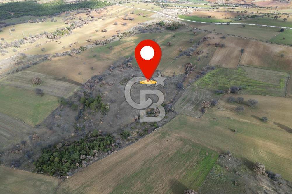 CB OPİA'DAN '' ORTAKÖY'DE GELECEK VADEDEN  31.046 m² TARLA '' 