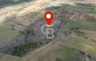 CB OPİA'DAN '' ORTAKÖY'DE GELECEK VADEDEN  31.046 m² TARLA '' 