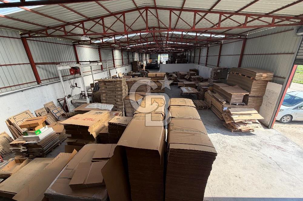 İzmir Menderes Altıntepede,