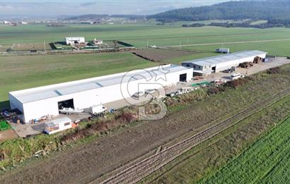 İzmir Menderes Altıntepede,