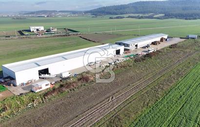 İzmir Menderes Altıntepede,