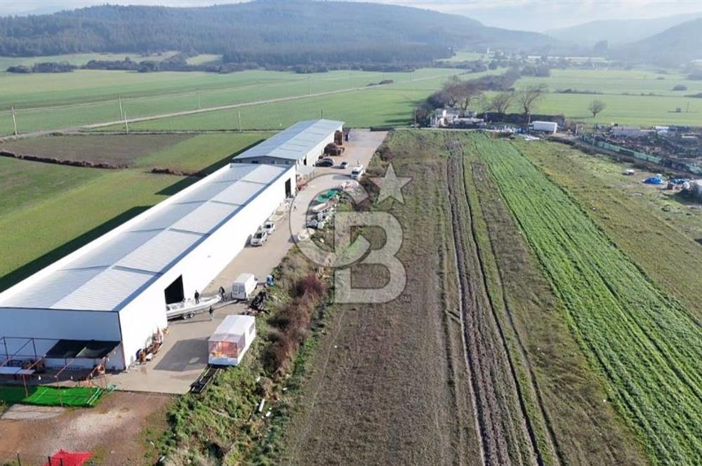 İzmir Menderes Altıntepede,