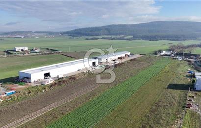 İzmir Menderes Altıntepede,