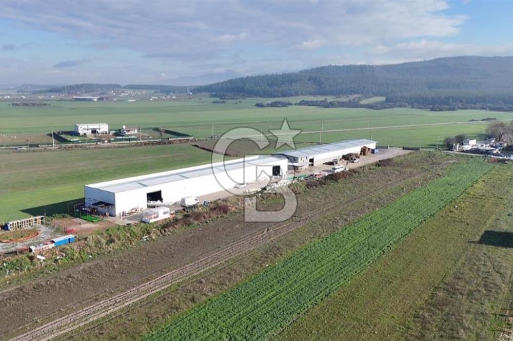 İzmir Menderes Altıntepede,