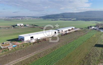 İzmir Menderes Altıntepede,