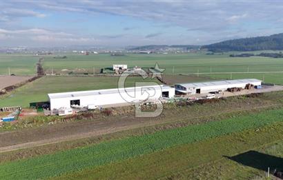 İzmir Menderes Altıntepede,