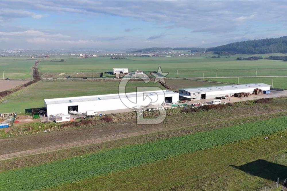 İzmir Menderes Altıntepede,