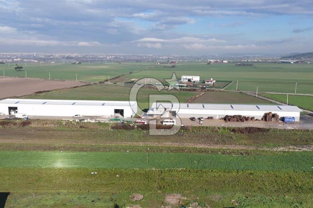 İzmir Menderes Altıntepede,