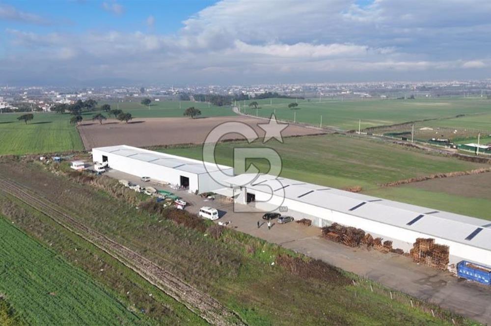 İzmir Menderes Altıntepede,