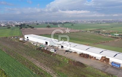 İzmir Menderes Altıntepede,