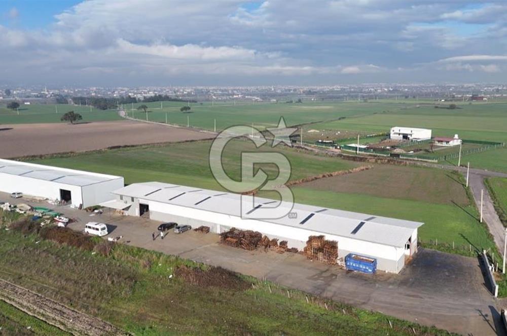 İzmir Menderes Altıntepede,