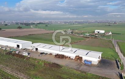 İzmir Menderes Altıntepede,