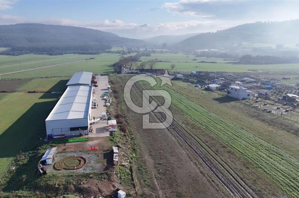 İzmir Menderes Altıntepede,