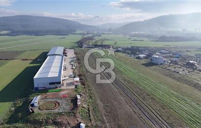 İzmir Menderes Altıntepede,