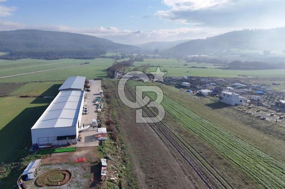 İzmir Menderes Altıntepede,