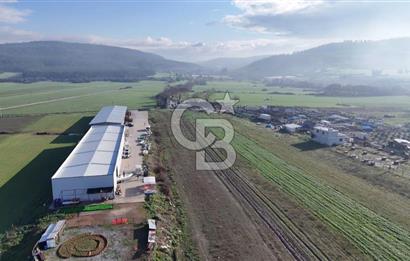 İzmir Menderes Altıntepede,