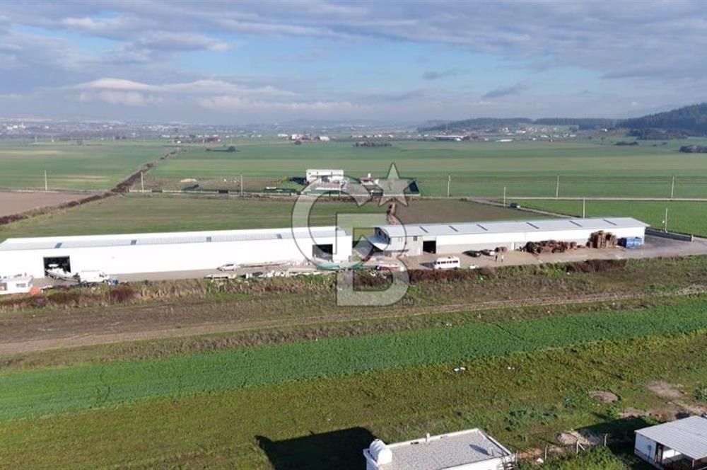 İzmir Menderes Altıntepede,